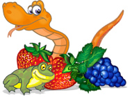 ���� ���� �������� �����