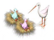 ���� ���� �������� ����