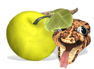 ���� ���� ������� ����