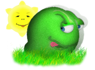 ���� ���� ����������