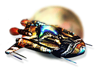 ���� ���� ����������� ���������