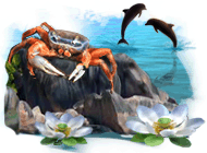 ���� ���� ����������� ����� ���������. 10 ���� ��� �����