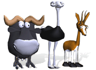 ���� ���� ��� ������������ �����