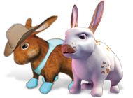 ���� ���� 101 ��������. �������� �������