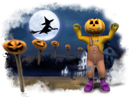 ���� ���� ���� �� ��������