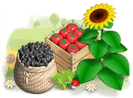 ���� ���� ��������� �����