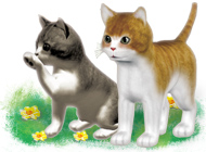 ���� ���� 101 ��������. �������� ������