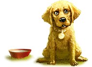 ���� ���� 101 ��������. ������ � ��������