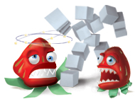 ���� ���� �������. �������� �����������