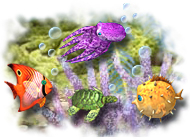 ���� ���� ���������� � ��������