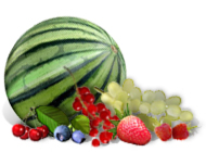 ���� ���� ����� � �����. �����