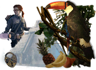 ���� ���� ��������� ����������. ��������