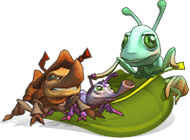 ���� ���� ����� �������