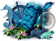 ���� ���� ����������� �������. ������ ������