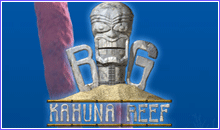 ���� ���� ������� ��������� ���