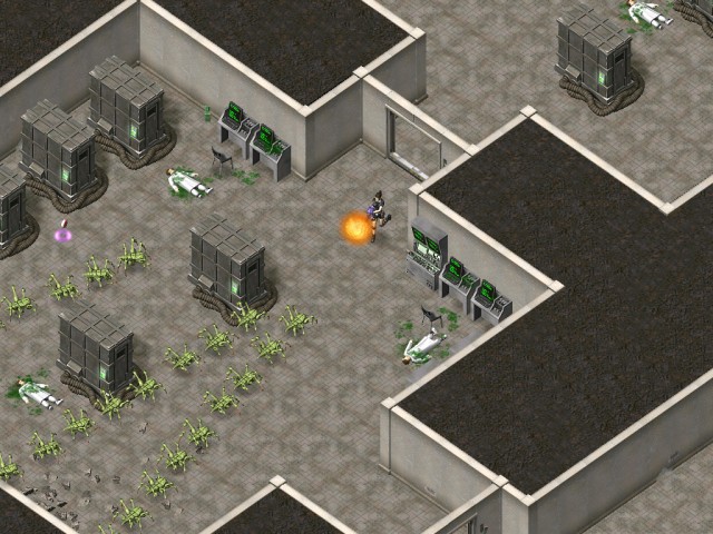 �������� � ���� ���� ����� �����. ������ ���������