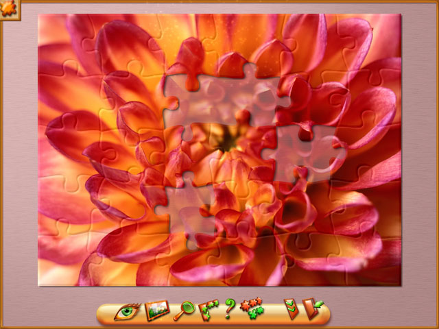 �������� � ���� ���� ������ ������