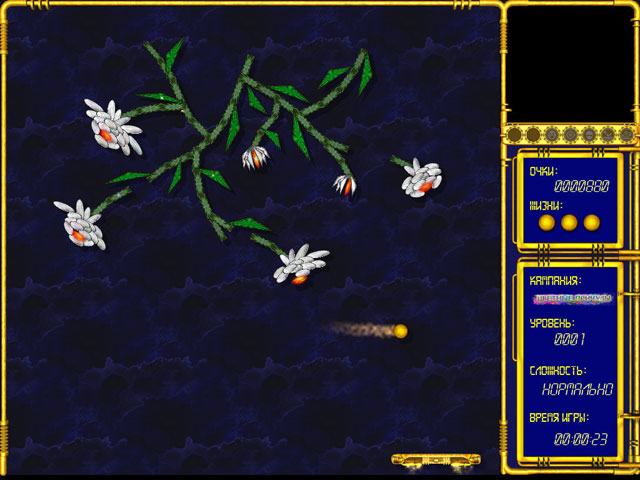 �������� � ���� ���� �����������. ������� �������