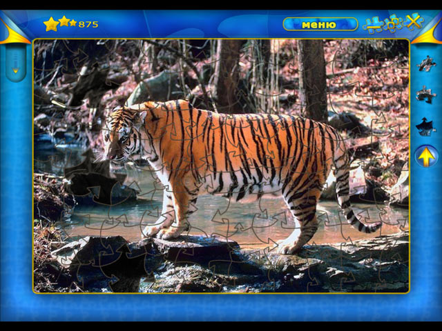 �������� � ���� ���� ���� ������