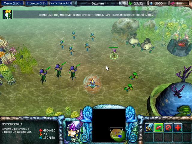 �������� � ���� ���� ���� �����