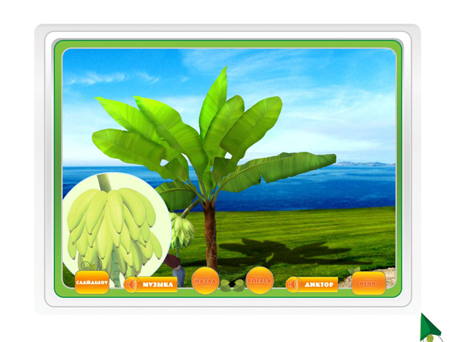 �������� � ���� ���� ����� � �����. ������