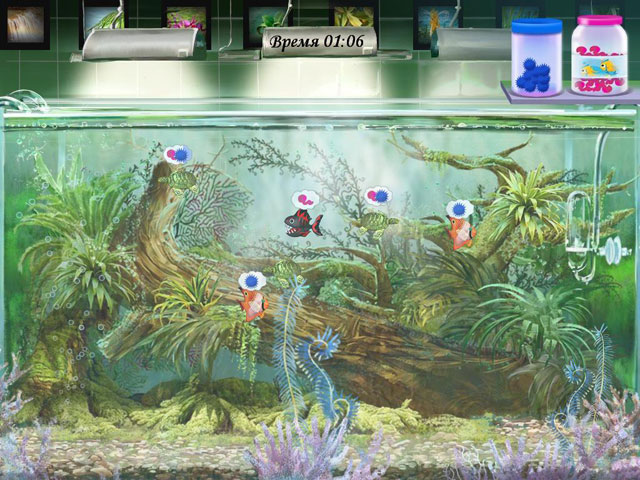 �������� � ���� ���� ���������� � ��������