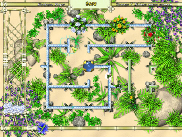 �������� � ���� ���� ����� ������