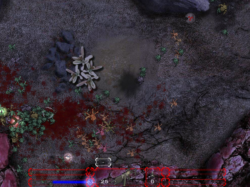 �������� � ���� �������� ������