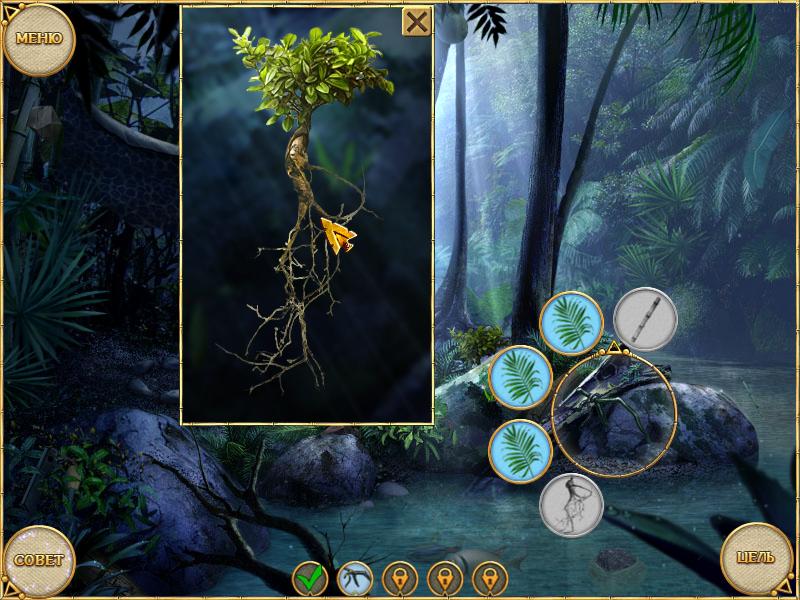 �������� � ���� �������� � �����