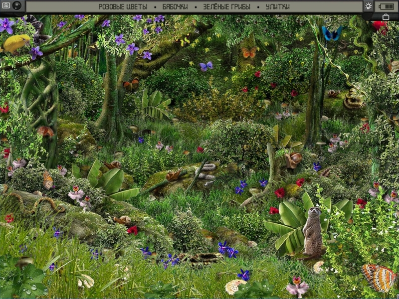 �������� � ���� ������� �����