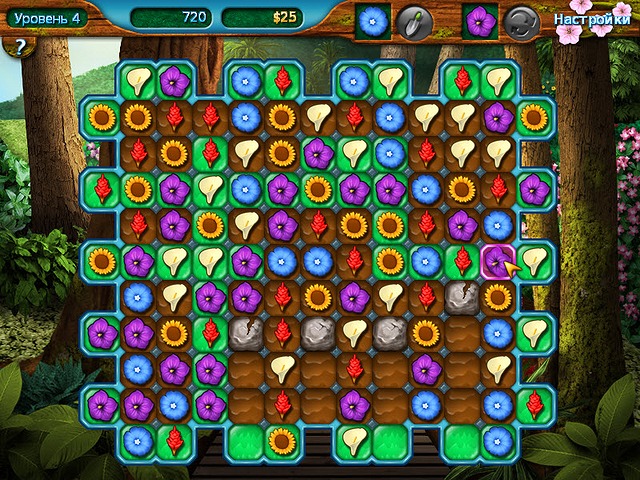 �������� � ���� ���� ��������� ���