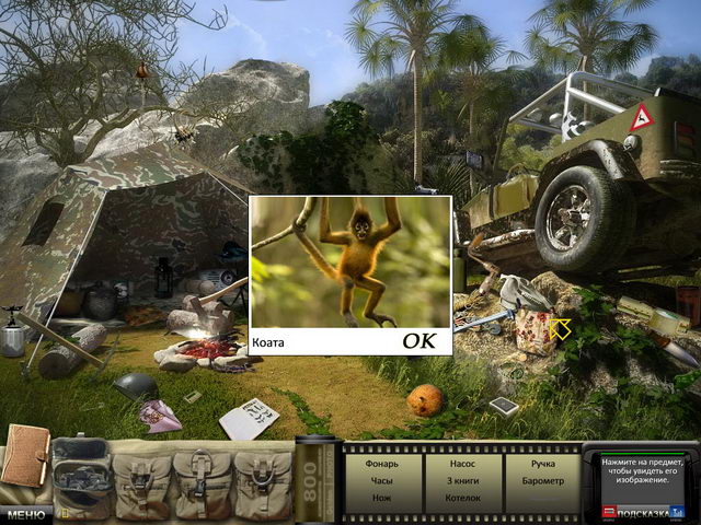 �������� � ���� ���� Z��������� ����� Z