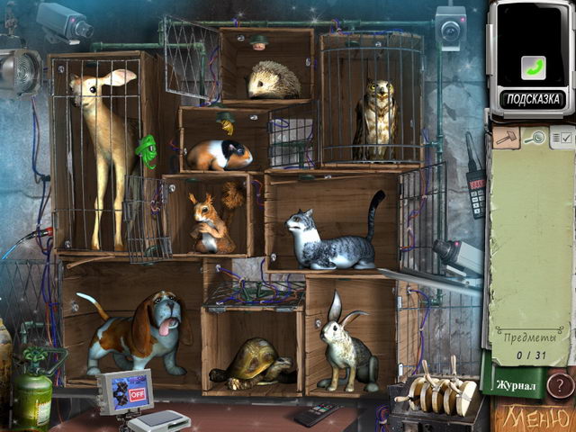 �������� � ���� ���� ������� �������. ��������� ����